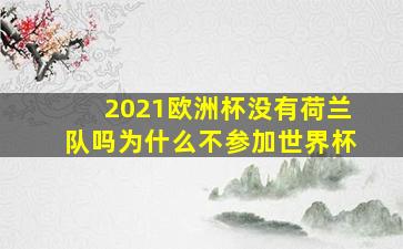 2021欧洲杯没有荷兰队吗为什么不参加世界杯