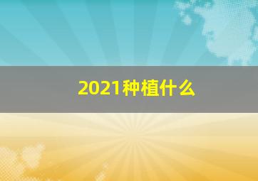 2021种植什么