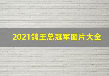 2021鸽王总冠军图片大全