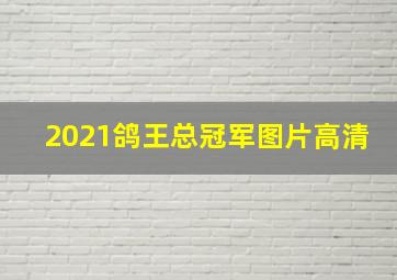 2021鸽王总冠军图片高清