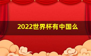 2022世界杯有中国么