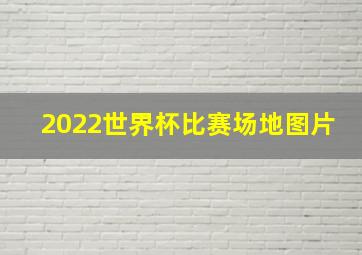 2022世界杯比赛场地图片