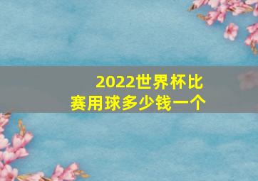 2022世界杯比赛用球多少钱一个