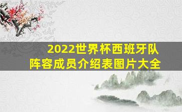 2022世界杯西班牙队阵容成员介绍表图片大全