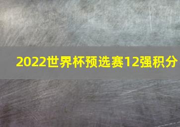 2022世界杯预选赛12强积分