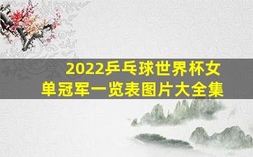 2022乒乓球世界杯女单冠军一览表图片大全集