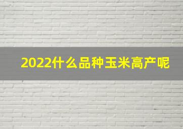 2022什么品种玉米高产呢