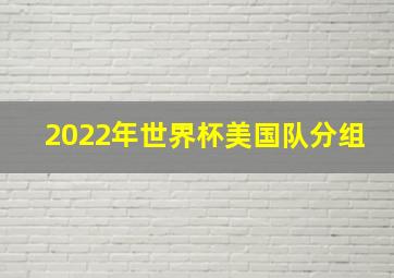 2022年世界杯美国队分组