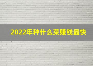 2022年种什么菜赚钱最快