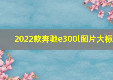 2022款奔驰e300l图片大标