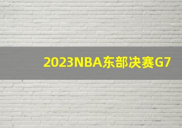 2023NBA东部决赛G7