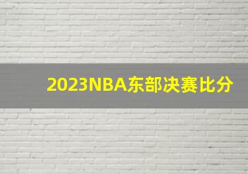 2023NBA东部决赛比分