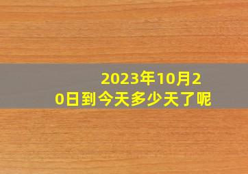 2023年10月20日到今天多少天了呢