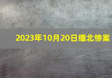 2023年10月20日缅北惨案