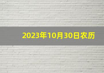 2023年10月30日农历