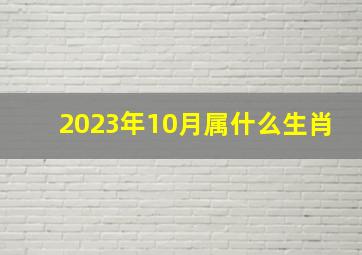 2023年10月属什么生肖