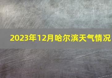 2023年12月哈尔滨天气情况