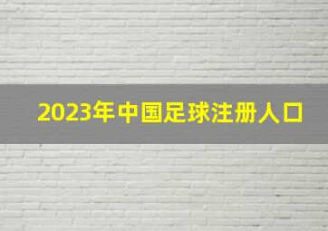 2023年中国足球注册人口