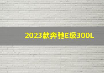 2023款奔驰E级300L