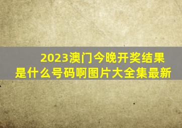 2023澳门今晚开奖结果是什么号码啊图片大全集最新