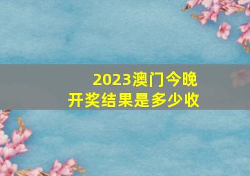 2023澳门今晚开奖结果是多少收