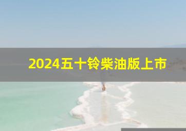 2024五十铃柴油版上市