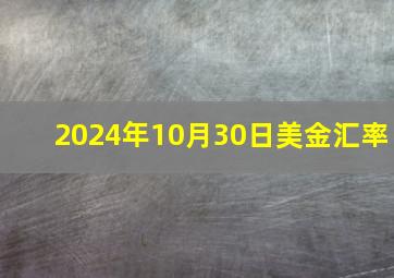 2024年10月30日美金汇率