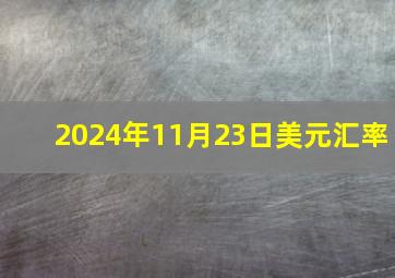 2024年11月23日美元汇率