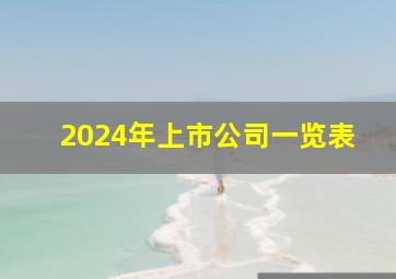 2024年上市公司一览表