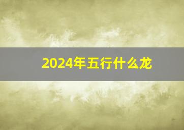 2024年五行什么龙