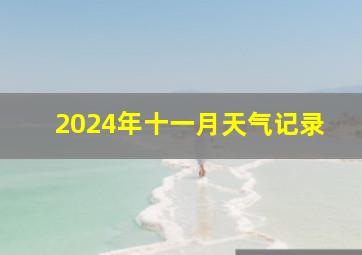 2024年十一月天气记录