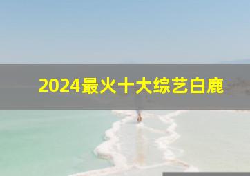 2024最火十大综艺白鹿