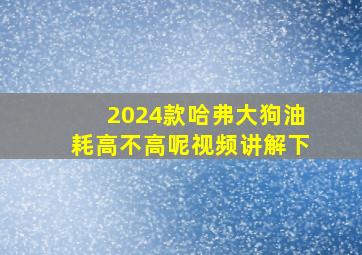 2024款哈弗大狗油耗高不高呢视频讲解下