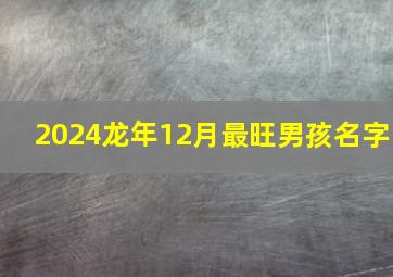 2024龙年12月最旺男孩名字