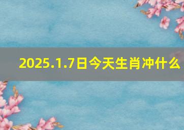 2025.1.7日今天生肖冲什么