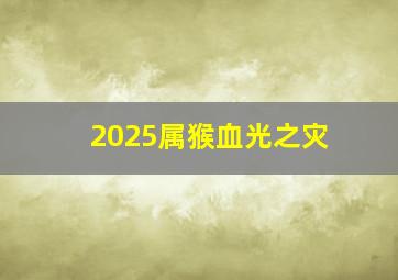 2025属猴血光之灾