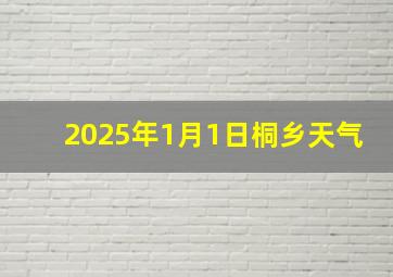 2025年1月1日桐乡天气