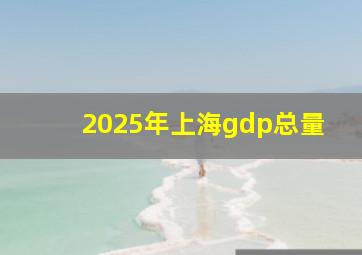 2025年上海gdp总量