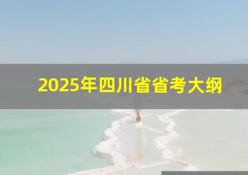 2025年四川省省考大纲