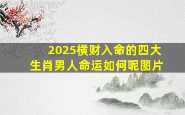 2025横财入命的四大生肖男人命运如何呢图片