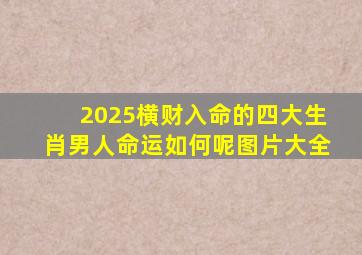 2025横财入命的四大生肖男人命运如何呢图片大全