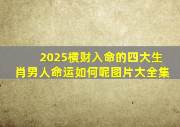 2025横财入命的四大生肖男人命运如何呢图片大全集