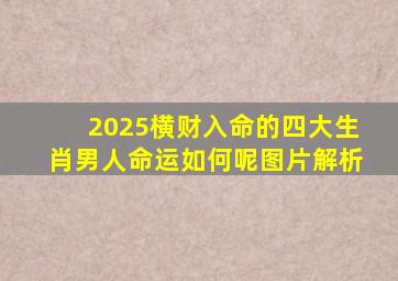 2025横财入命的四大生肖男人命运如何呢图片解析