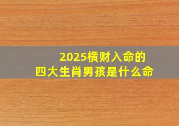 2025横财入命的四大生肖男孩是什么命