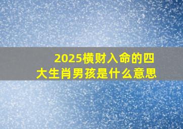 2025横财入命的四大生肖男孩是什么意思