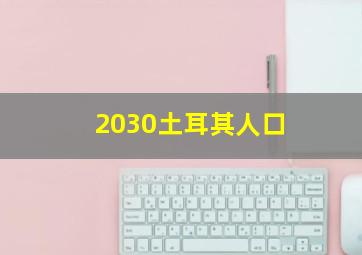 2030土耳其人口