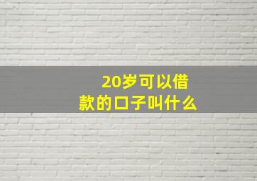 20岁可以借款的口子叫什么