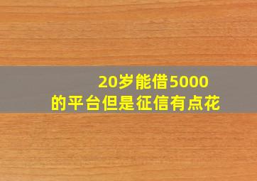 20岁能借5000的平台但是征信有点花