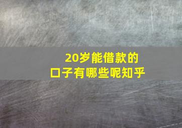 20岁能借款的口子有哪些呢知乎