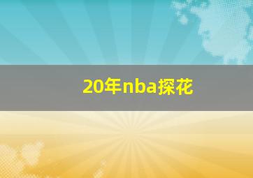 20年nba探花